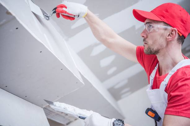 Best Fire-Damaged Drywall Repair  in Longmont, CO